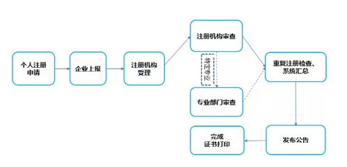 建造師注冊(cè)管理邁入數(shù)字化新篇章 個(gè)人與企業(yè)雙軌并行，信息系統(tǒng)集成服務(wù)全面升級(jí)